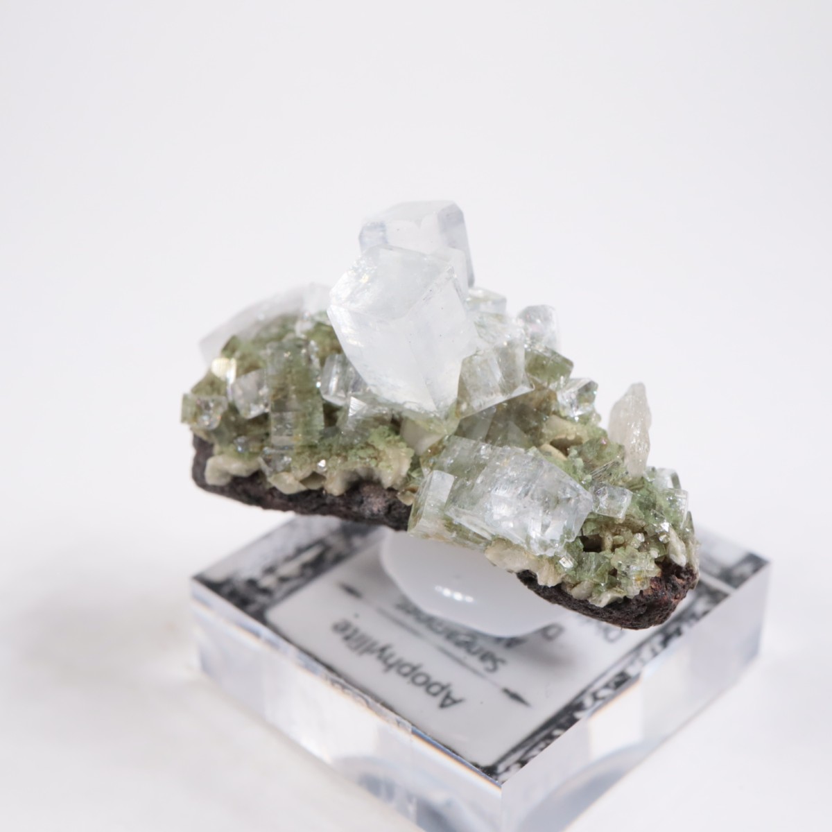 ����ɻ� ���ݥե��饤��