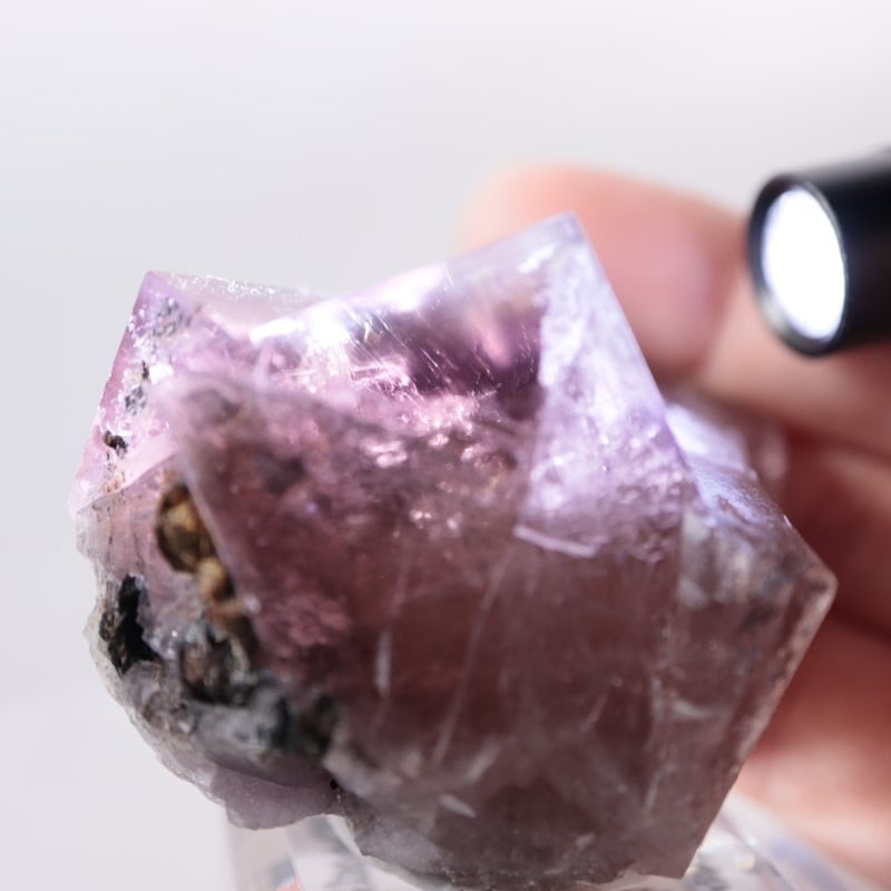 Sherry Twins Pocket 蛍石 | 鉱物標本,ハ行,フローライト/蛍石,フロー