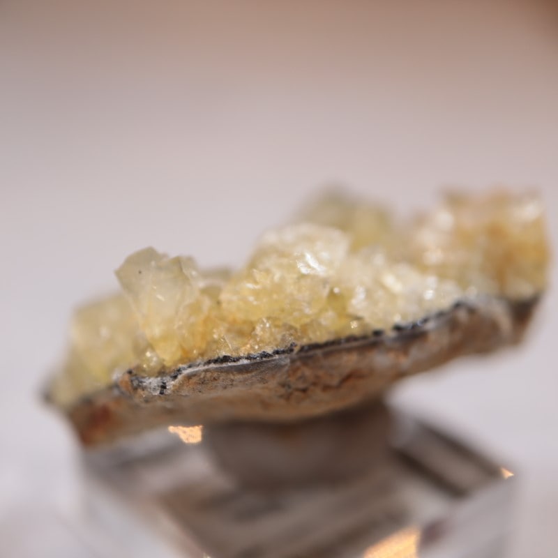 ヒルトン鉱山 フローライト | 鉱物標本,ハ行,フローライト/蛍石,フロー