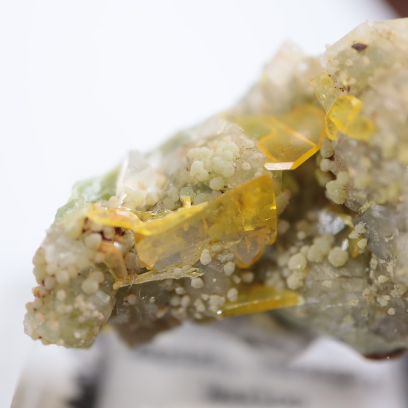 オハエラ鉱山 ウルフェナイト、ミメッタイト | 鉱物標本,ア行,ウルフェ