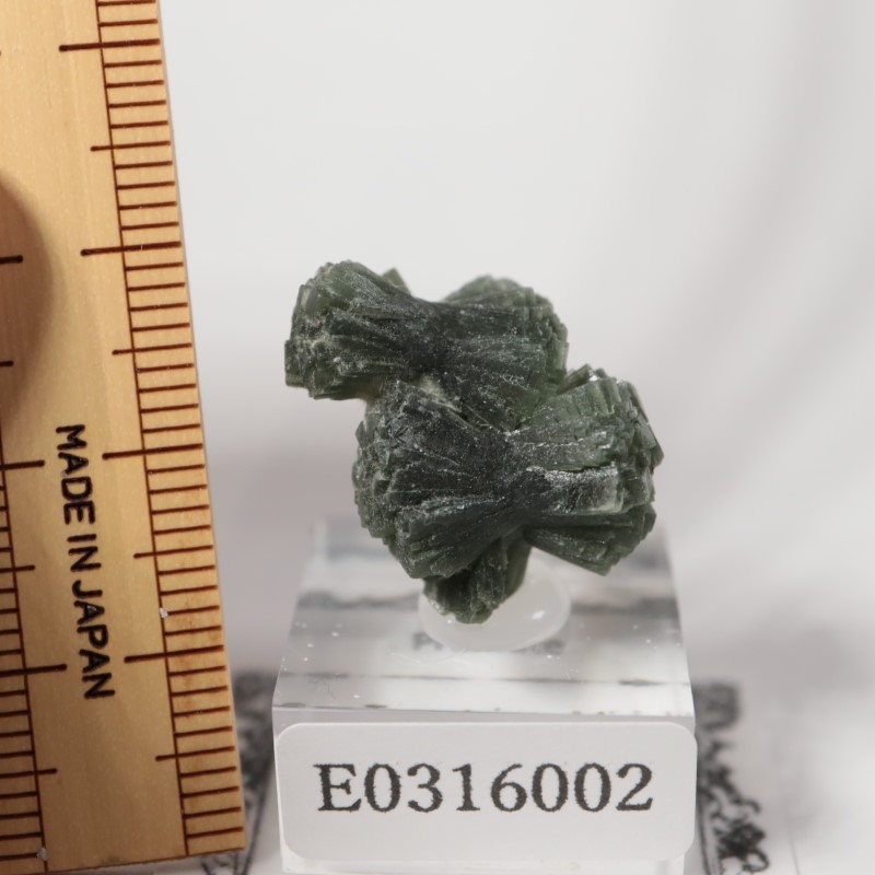 プレナイト　葡萄石　ボウタイ　鉱物標本　原石　モロッコ プレナイト 葡萄石 ボウタイ 鉱物標本 原石 モロッコ - メルカリ