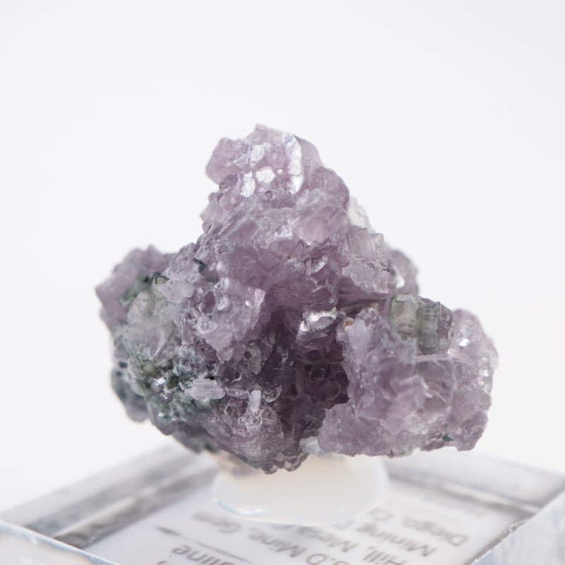 Gem Hill������ԥɥ饤�ȡ��ȥ�ޥ��