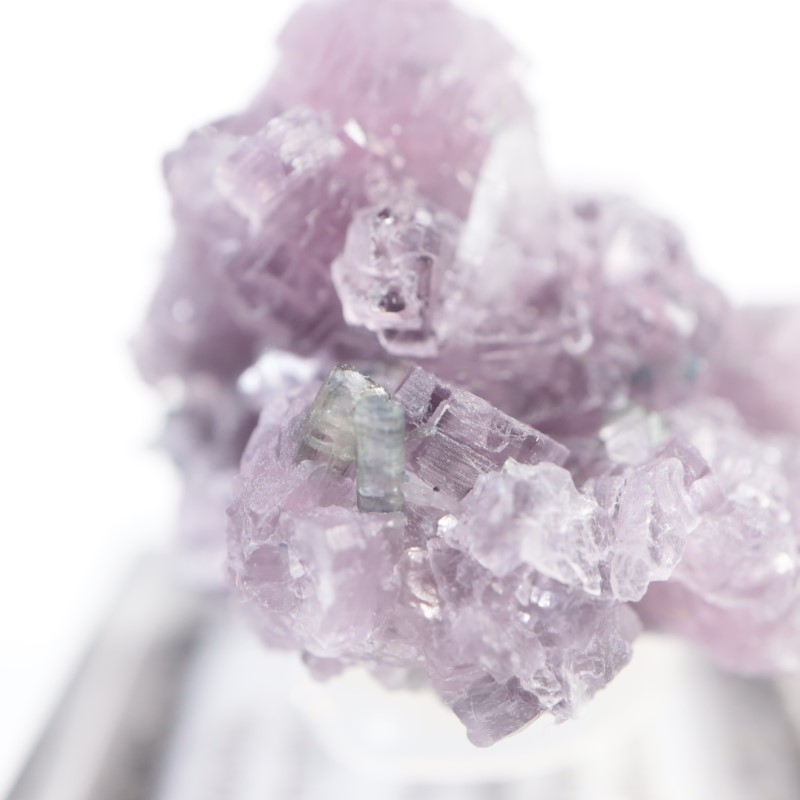 Gem Hill������ԥɥ饤�ȡ��ȥ�ޥ��