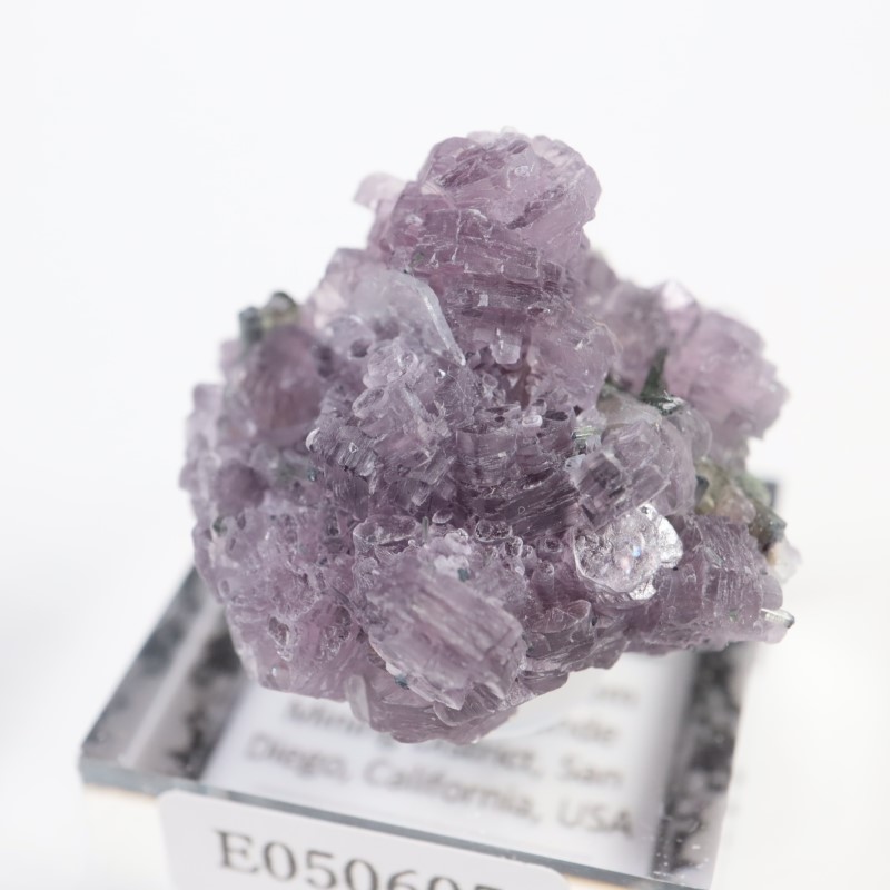 Gem Hill������ԥɥ饤�ȡ��ȥ�ޥ��
