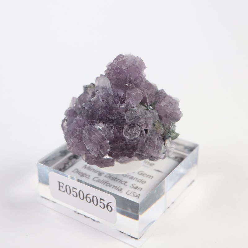 Gem Hill������ԥɥ饤�ȡ��ȥ�ޥ��