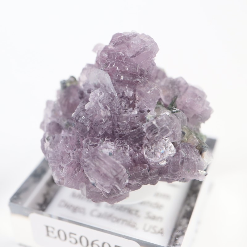 Gem Hill������ԥɥ饤�ȡ��ȥ�ޥ��