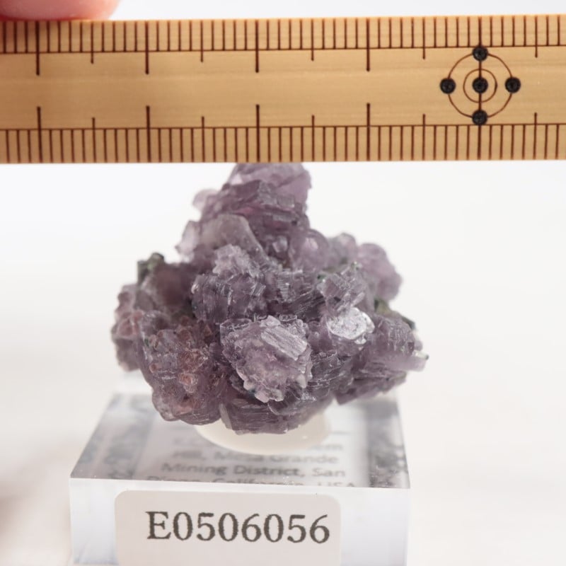 Gem Hill������ԥɥ饤�ȡ��ȥ�ޥ��
