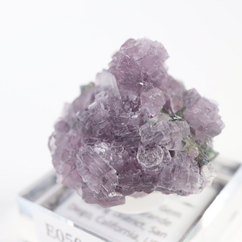 Gem Hill������ԥɥ饤�ȡ��ȥ�ޥ��