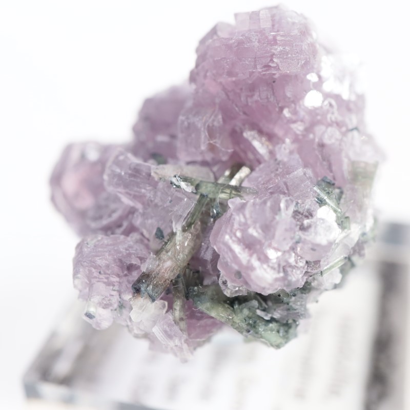Gem Hill������ԥɥ饤�ȡ��ȥ�ޥ��