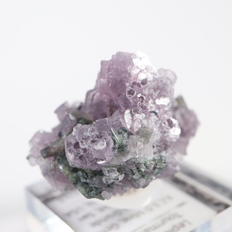 Gem Hill������ԥɥ饤�ȡ��ȥ�ޥ��