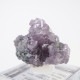 Gem Hill������ԥɥ饤�ȡ��ȥ�ޥ��