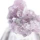Gem Hill������ԥɥ饤�ȡ��ȥ�ޥ��