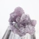 Gem Hill������ԥɥ饤�ȡ��ȥ�ޥ��