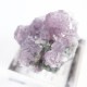 Gem Hill������ԥɥ饤�ȡ��ȥ�ޥ��