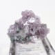 Gem Hill������ԥɥ饤�ȡ��ȥ�ޥ��