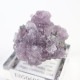 Gem Hill������ԥɥ饤�ȡ��ȥ�ޥ��