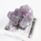 Gem Hill������ԥɥ饤�ȡ��ȥ�ޥ��
