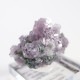 Gem Hill������ԥɥ饤�ȡ��ȥ�ޥ��