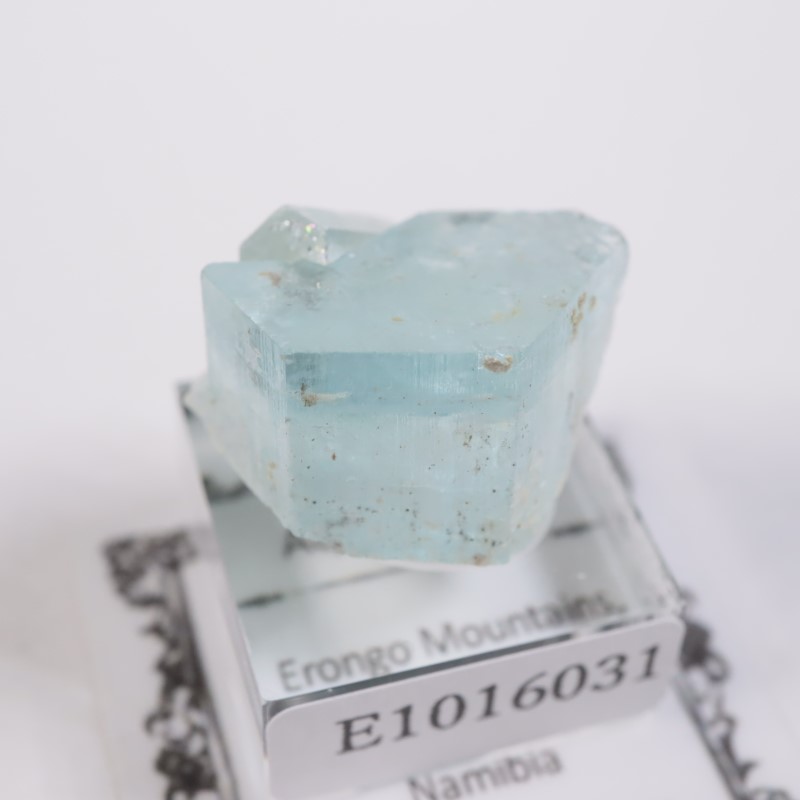 �����󥴹ۻ����������ޥ��