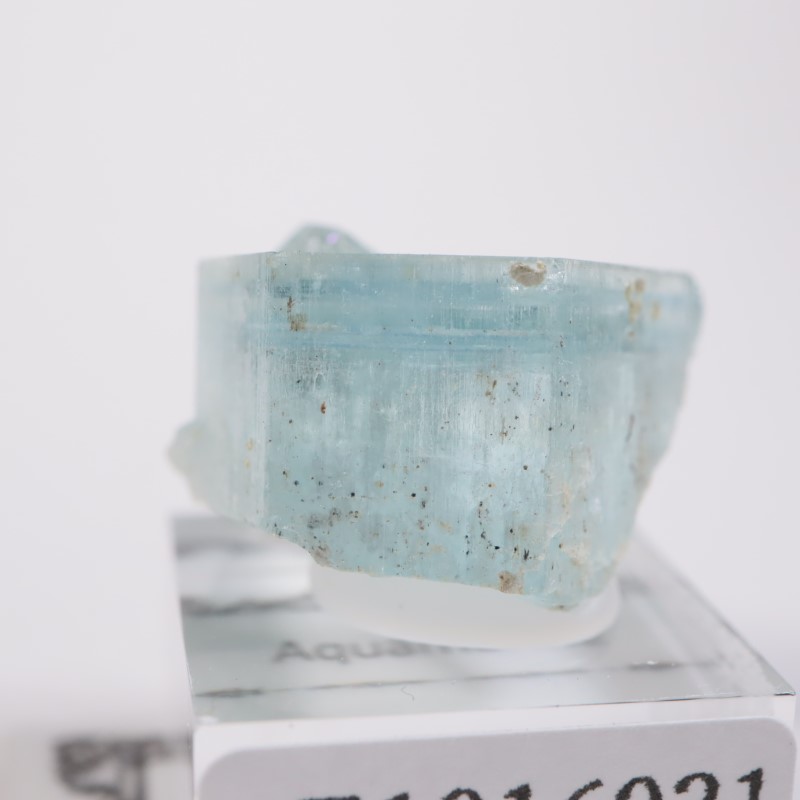 �����󥴹ۻ����������ޥ��