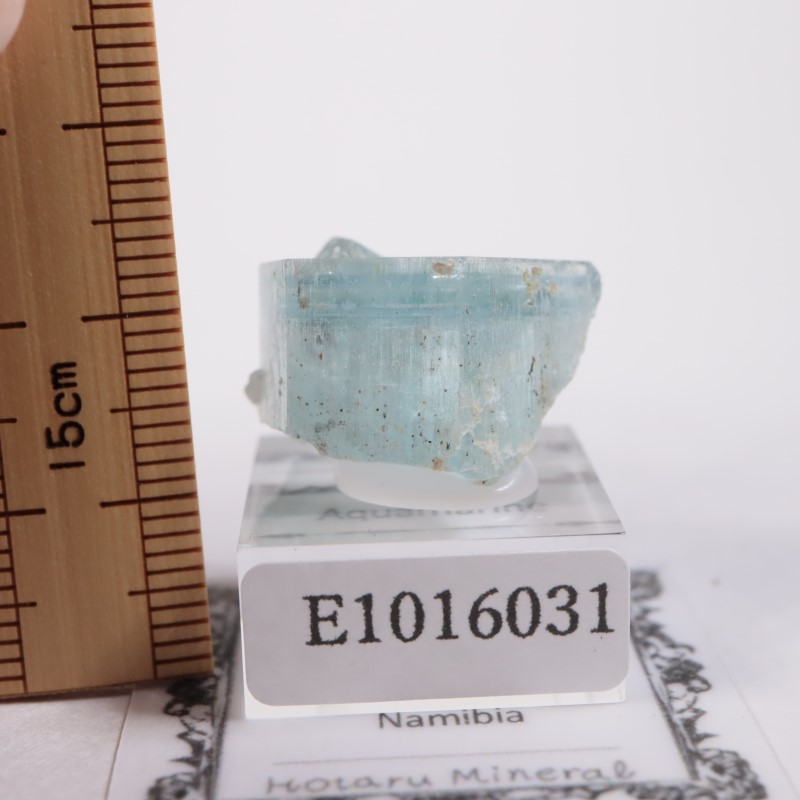 �����󥴹ۻ����������ޥ��