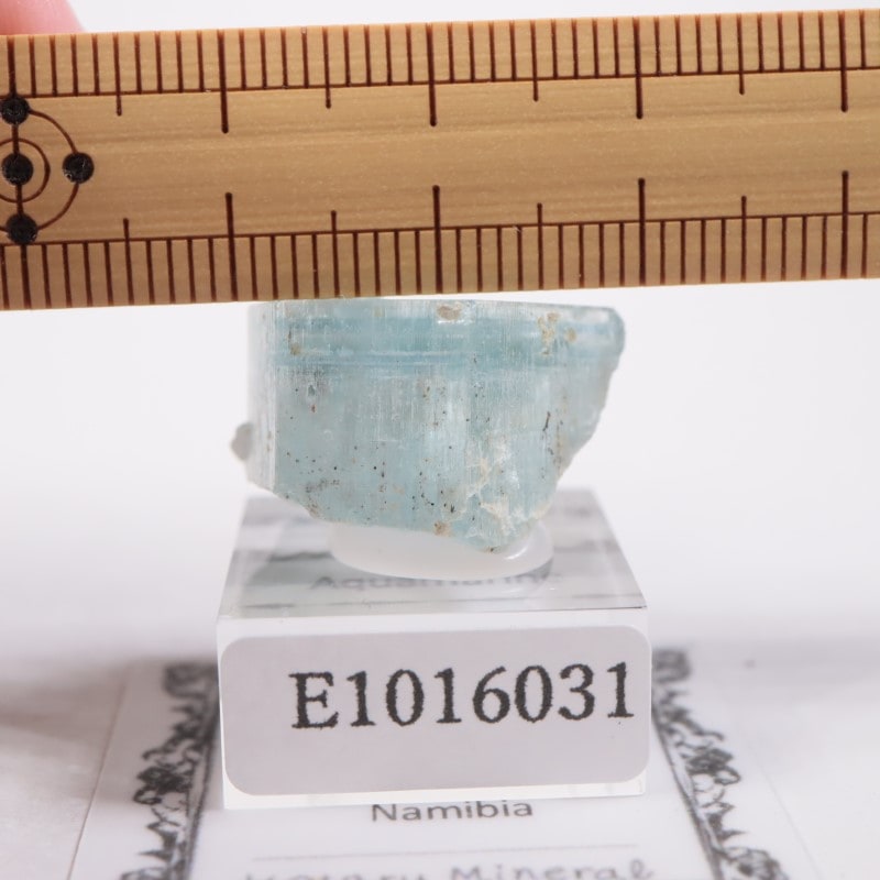 �����󥴹ۻ����������ޥ��