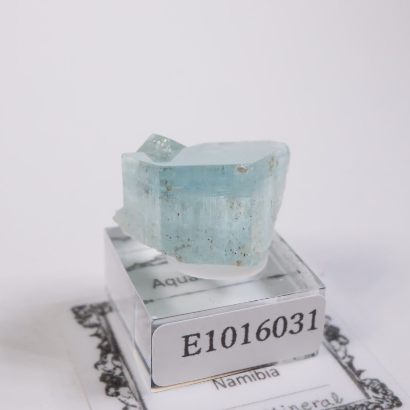 �����󥴹ۻ����������ޥ��