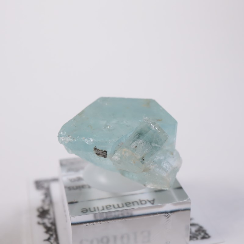 �����󥴹ۻ����������ޥ��