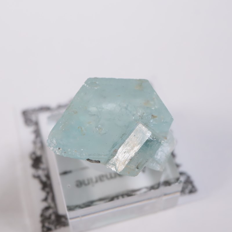 �����󥴹ۻ����������ޥ��