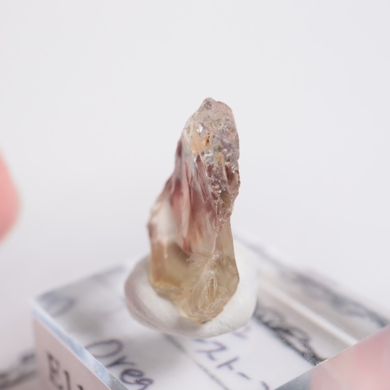 ���쥴�󽣻� ���쥴�󥵥󥹥ȡ���