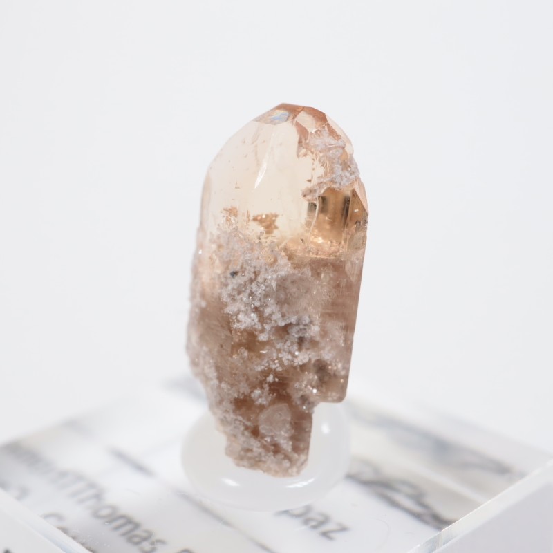 �楿�������ȥѡ���