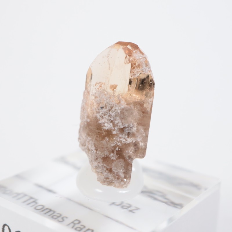 �楿�������ȥѡ���