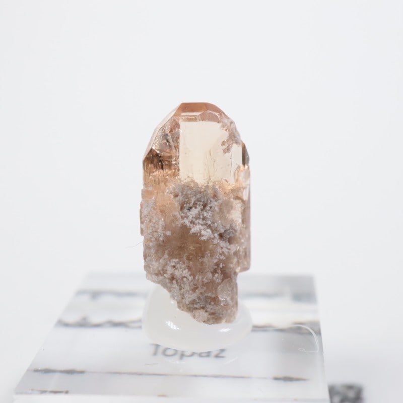 �楿�������ȥѡ���