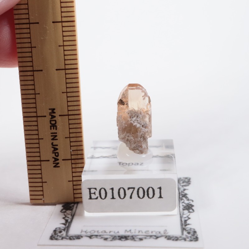 �楿�������ȥѡ���