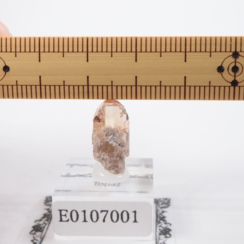 �楿�������ȥѡ���