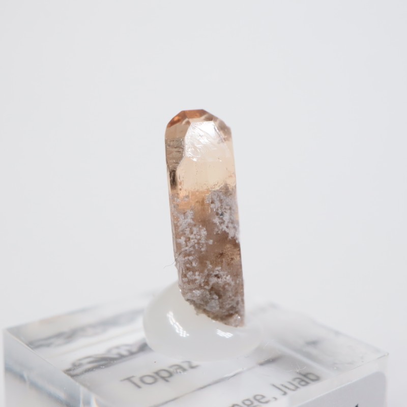 �楿�������ȥѡ���