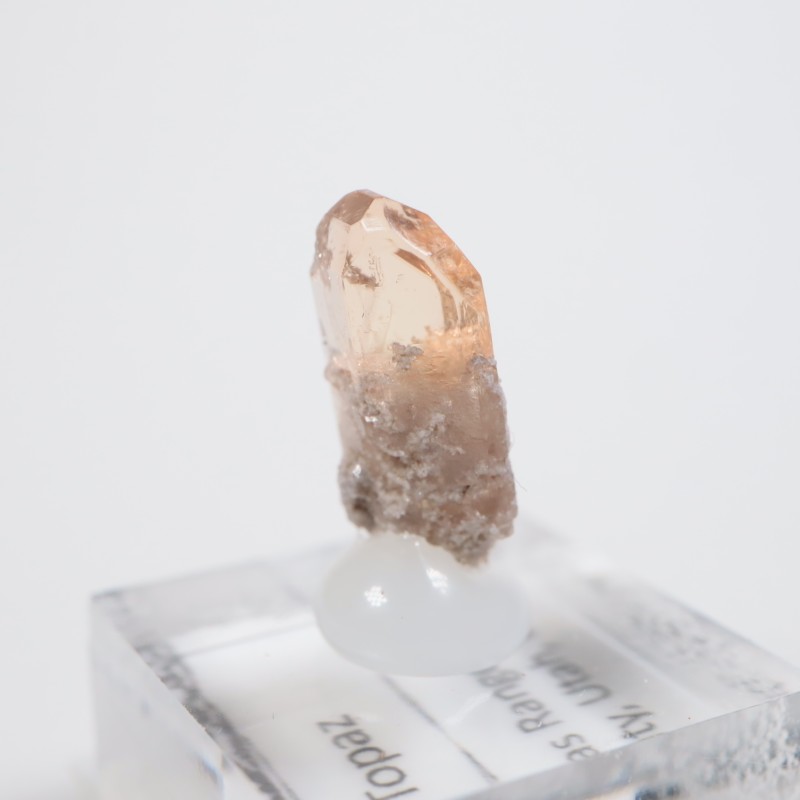 �楿�������ȥѡ���