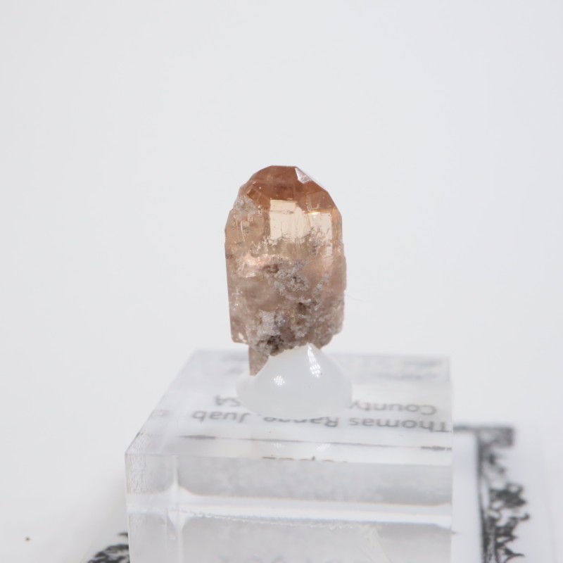 �楿�������ȥѡ���