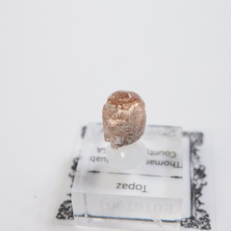 �楿�������ȥѡ���