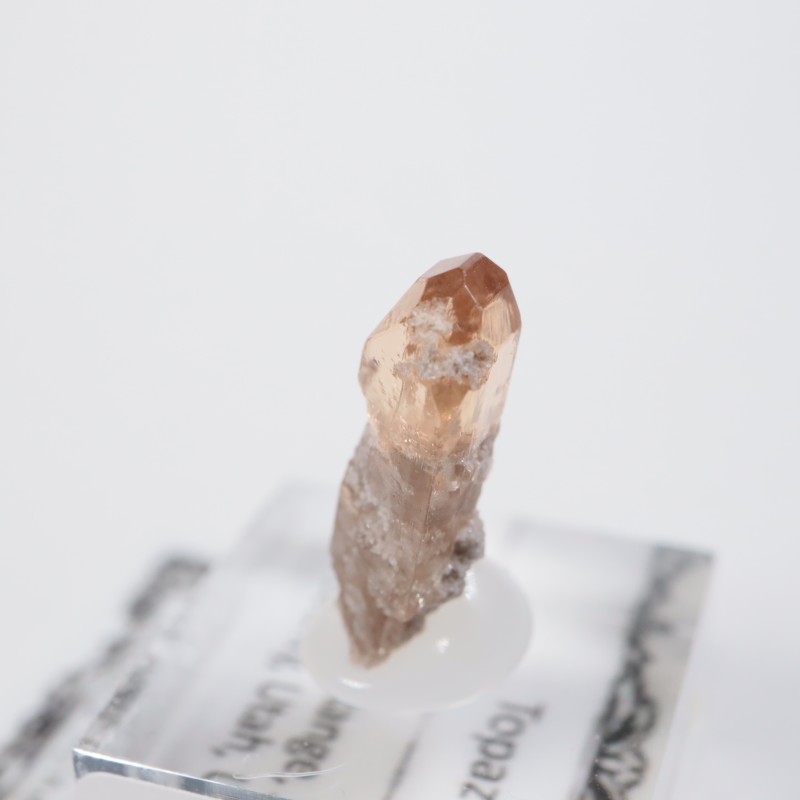 �楿�������ȥѡ���