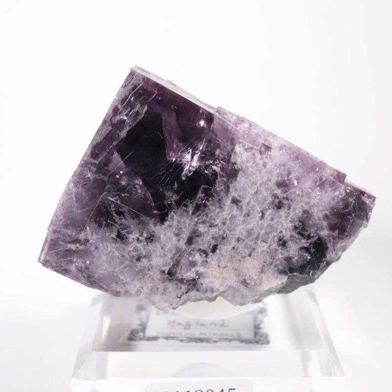 Purple Rain Pocket�� �ե����饤��