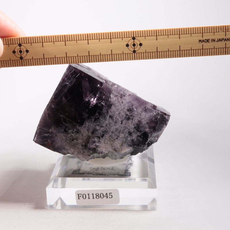 Purple Rain Pocket�� �ե����饤��