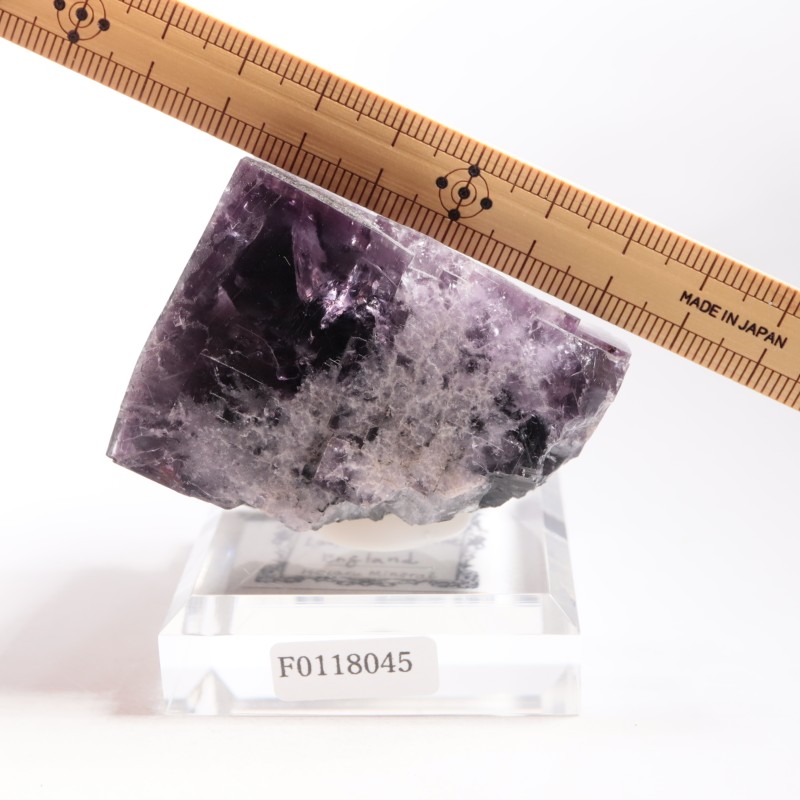 Purple Rain Pocket�� �ե����饤��