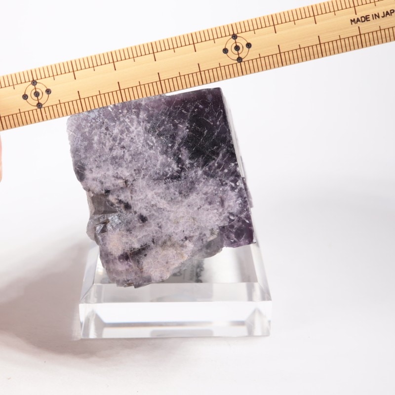 Purple Rain Pocket�� �ե����饤��