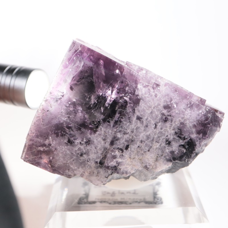 Purple Rain Pocket�� �ե����饤��