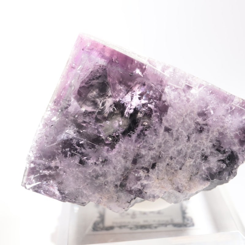 Purple Rain Pocket�� �ե����饤��