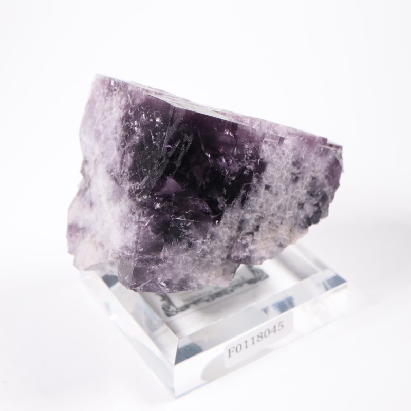 Purple Rain Pocket�� �ե����饤��