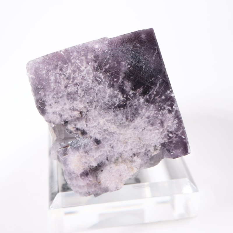 Purple Rain Pocket�� �ե����饤��