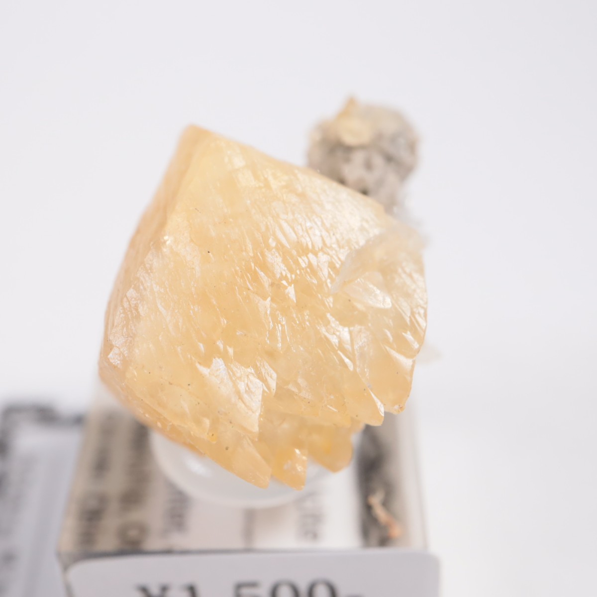 ���ϥ������� ���륵����