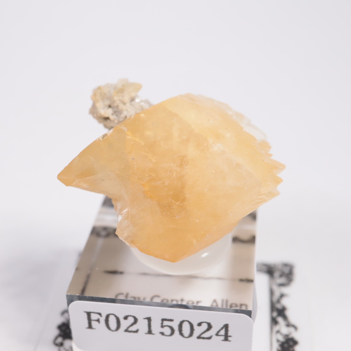 ���ϥ������� ���륵����